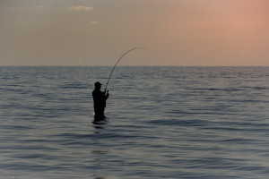 Sport fishing in Punta Cana: The best fishing tours and seasons